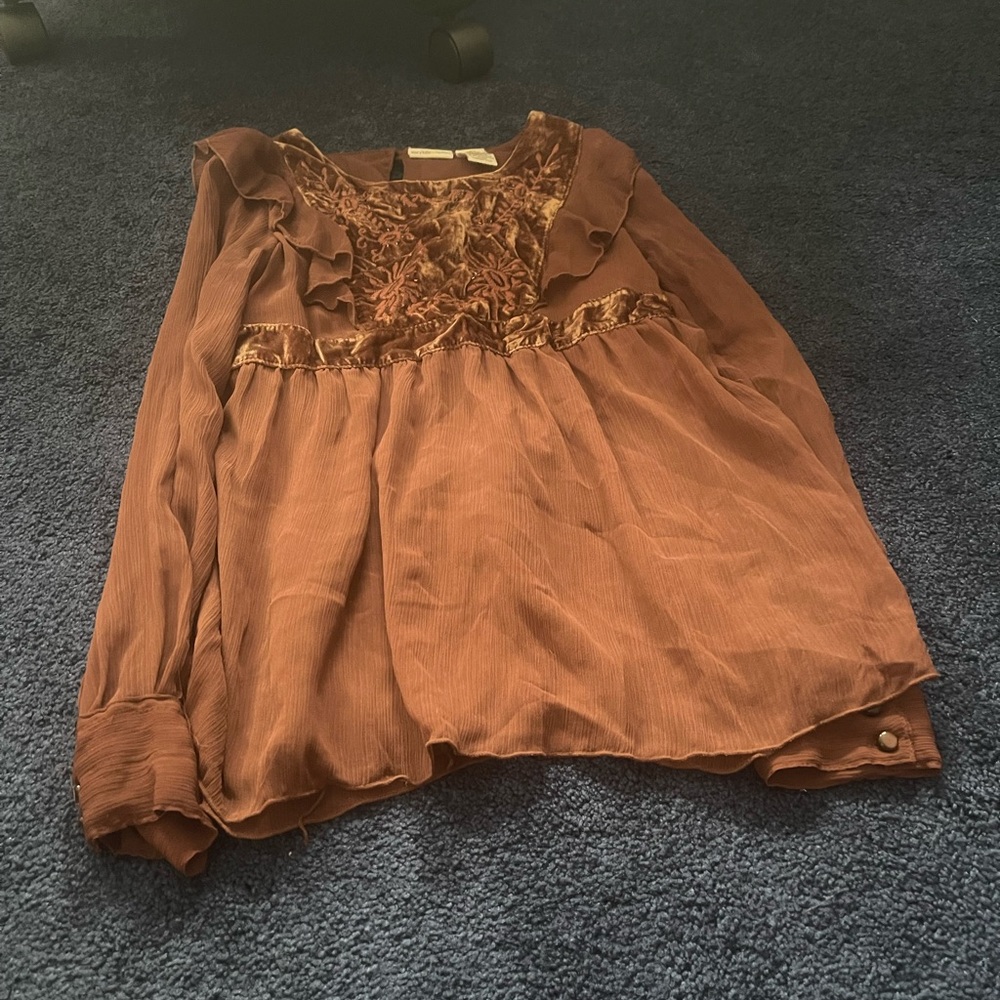 Brown Sheer Long Sleeve Blouse